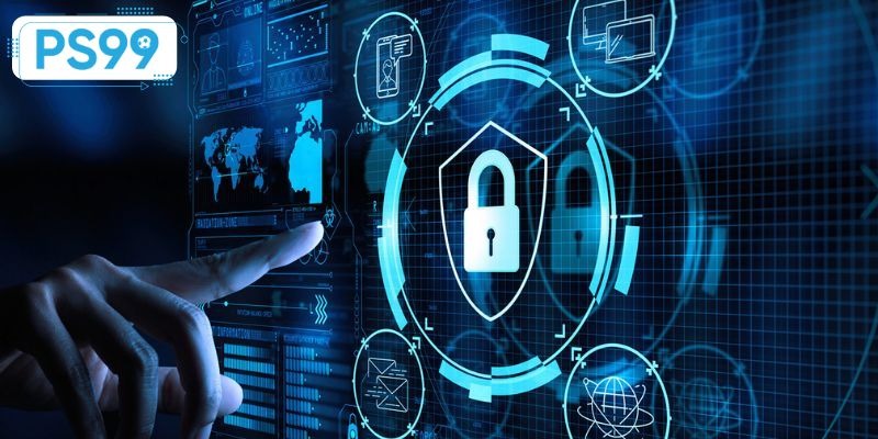 Quyền lợi và trách nhiệm của người dùng